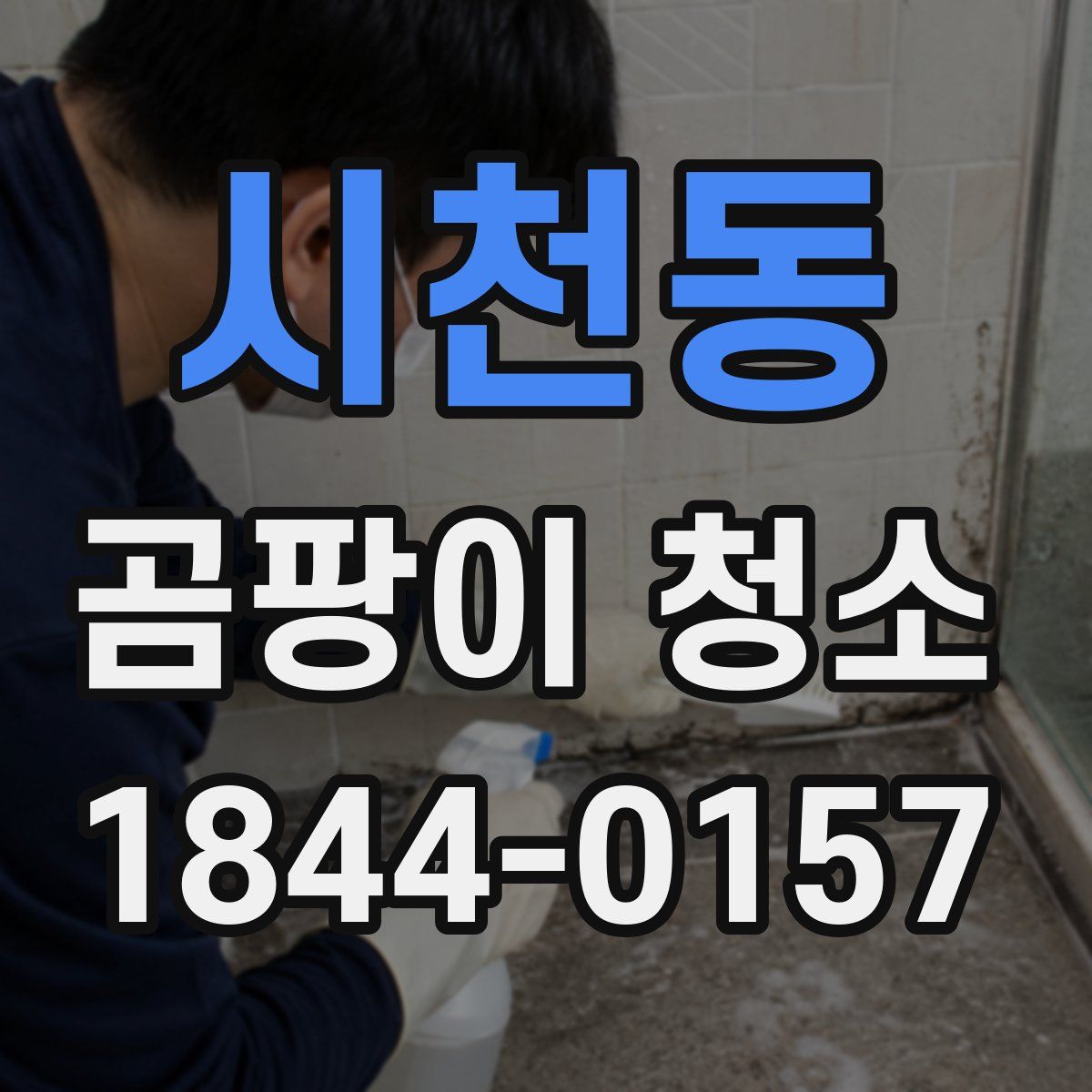 시천동 곰팡이 청소