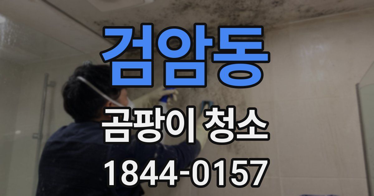 검암동 곰팡이 청소