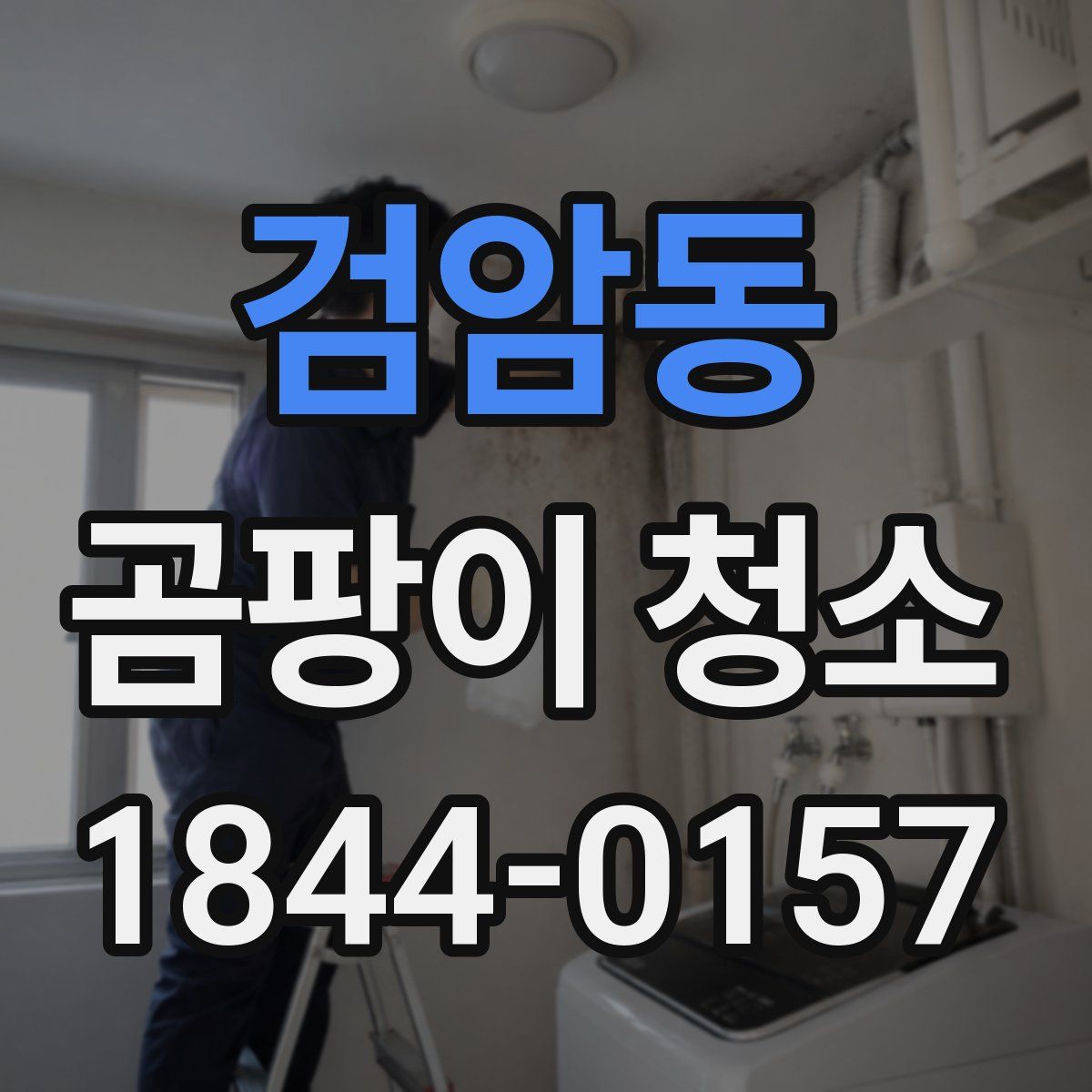 검암동 곰팡이 청소
