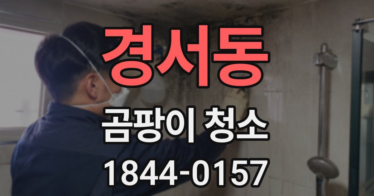 경서동 곰팡이 청소