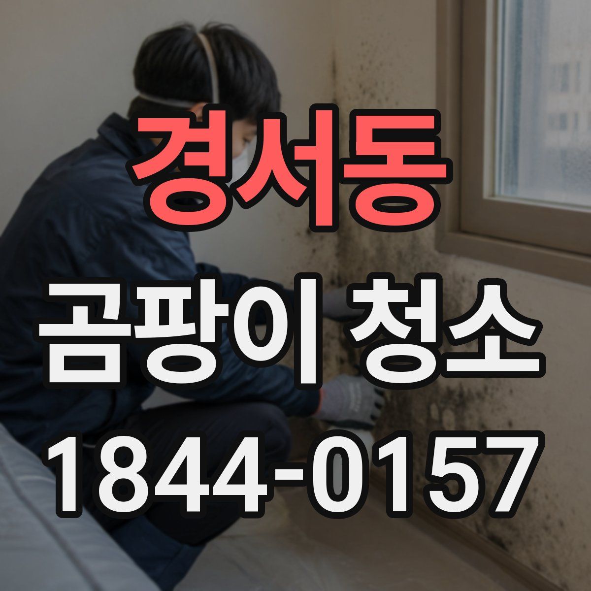 경서동 곰팡이 청소