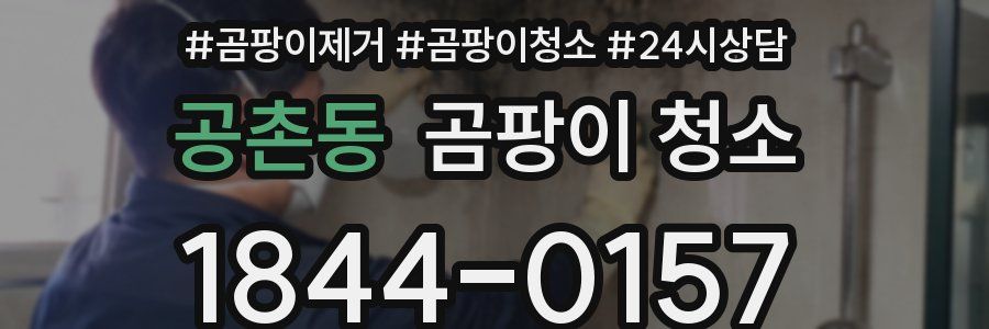 공촌동 곰팡이 청소