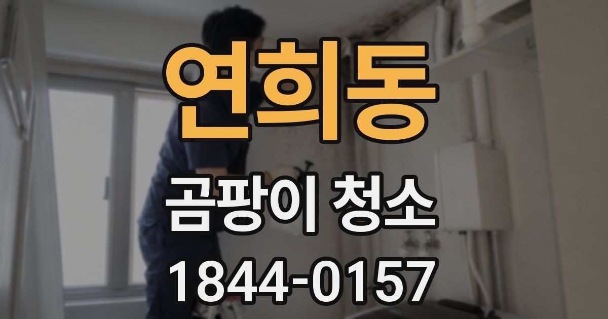 연희동 곰팡이 청소