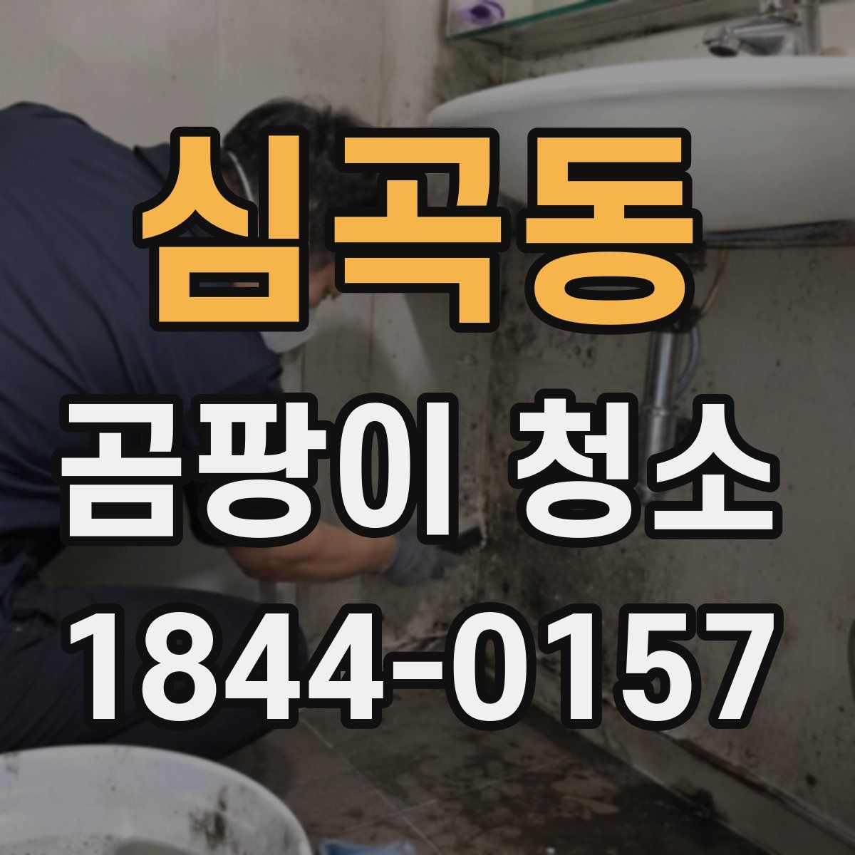 심곡동 곰팡이 청소