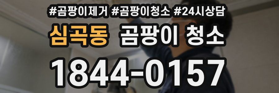 심곡동 곰팡이 청소