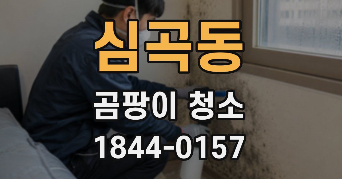 심곡동 곰팡이 청소