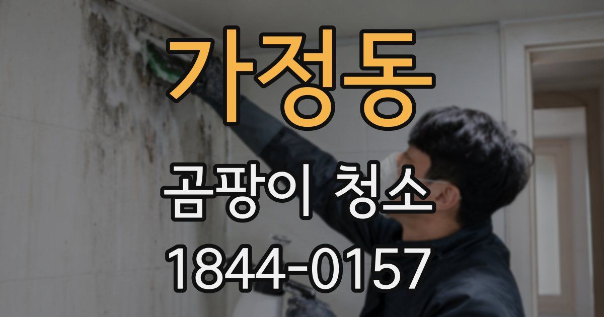 가정동 곰팡이 청소