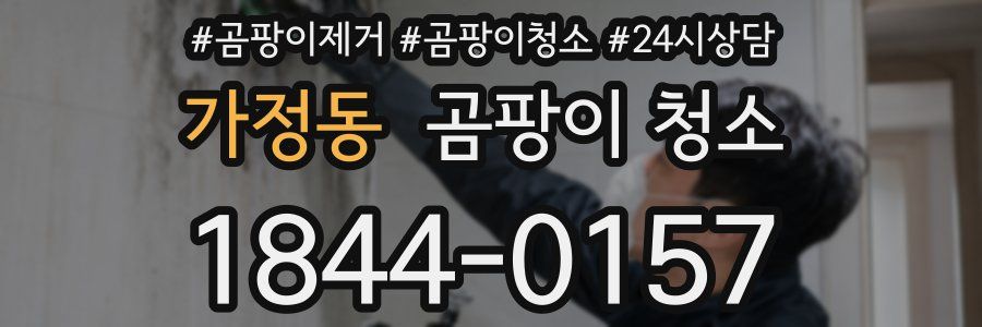 가정동 곰팡이 청소