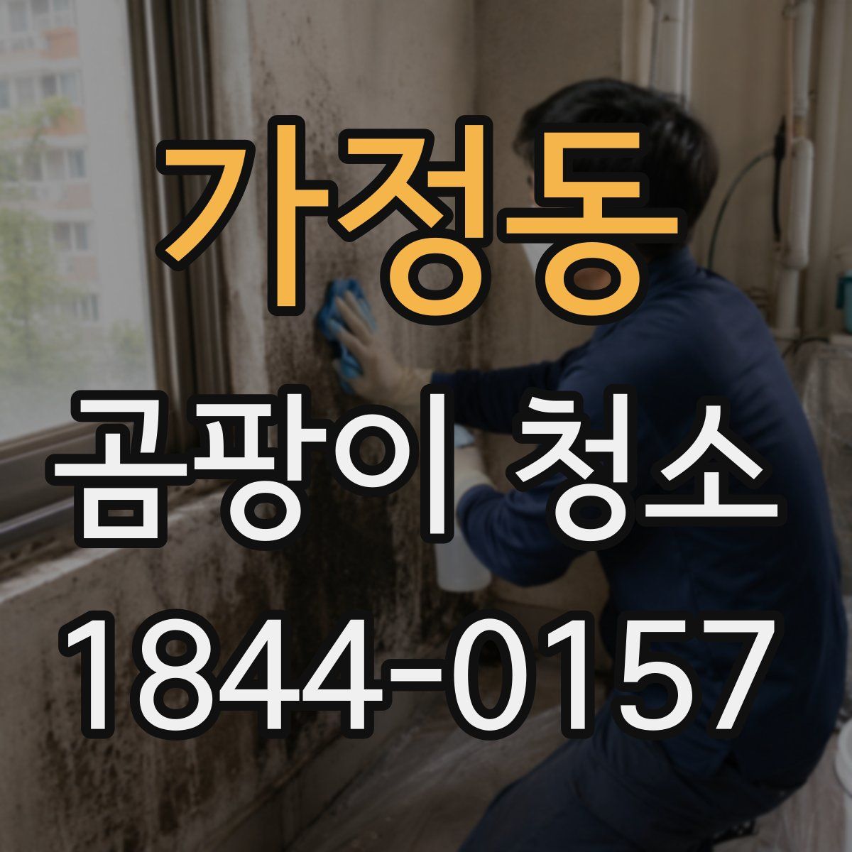 가정동 곰팡이 청소