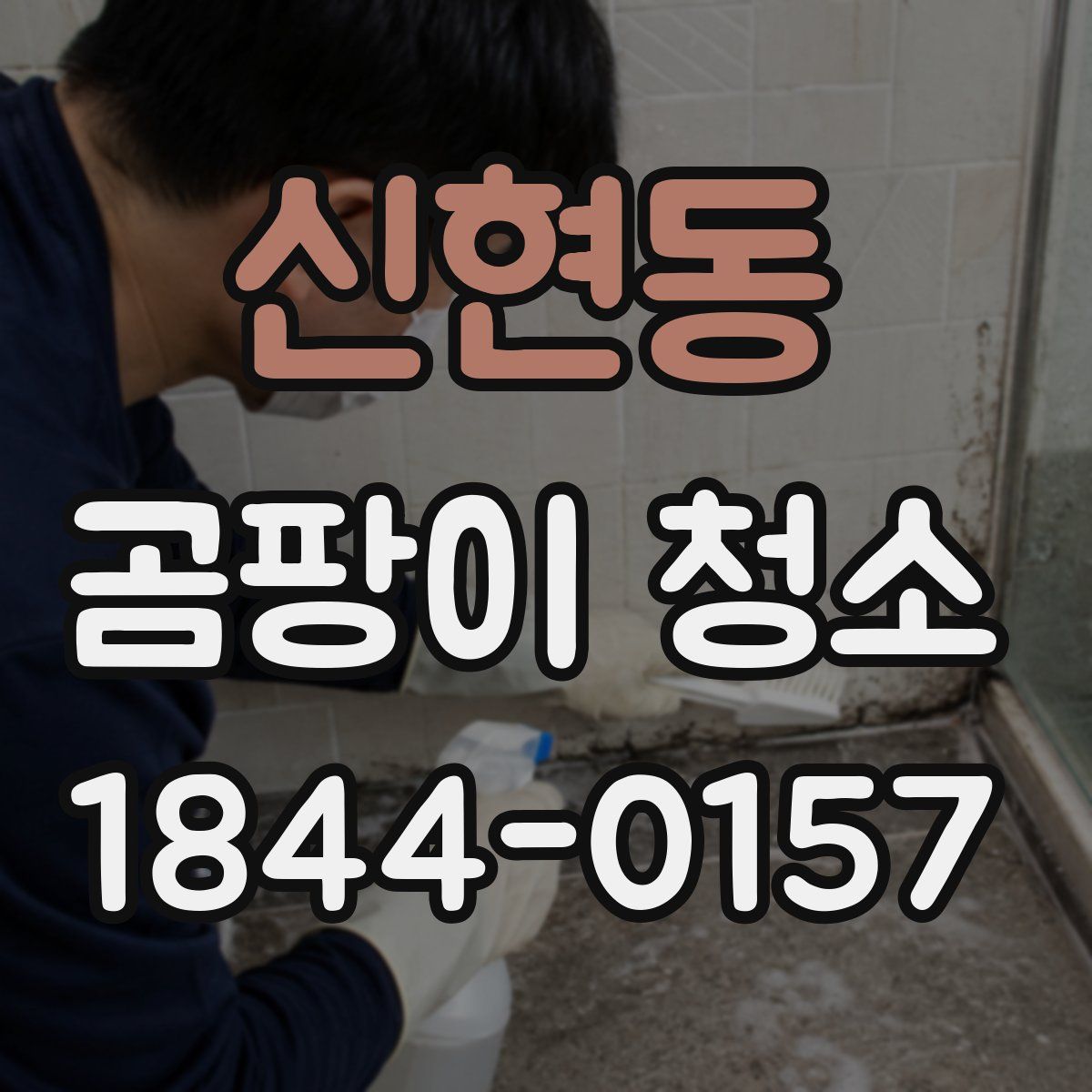 신현동 곰팡이 청소