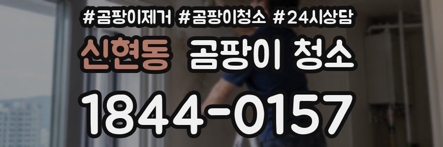 신현동 곰팡이 청소