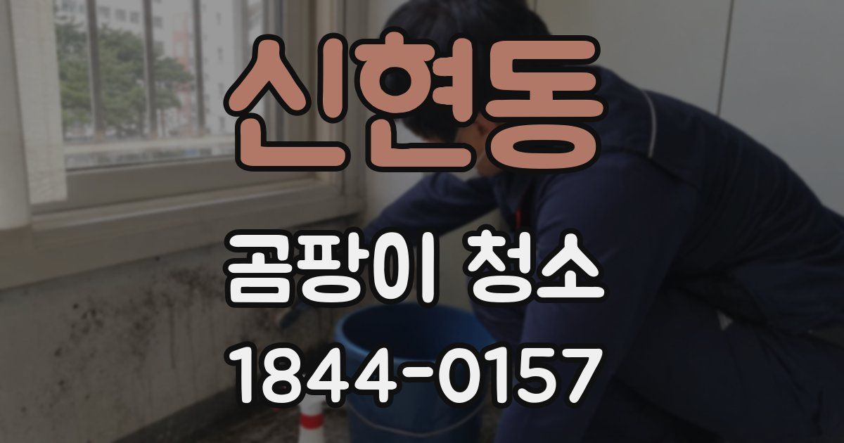 신현동 곰팡이 청소