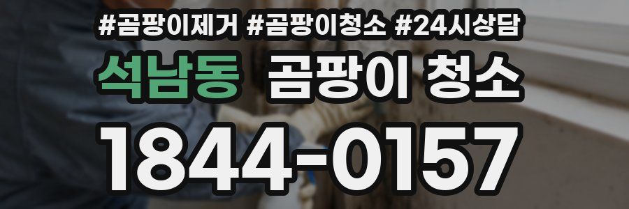 석남동 곰팡이 청소
