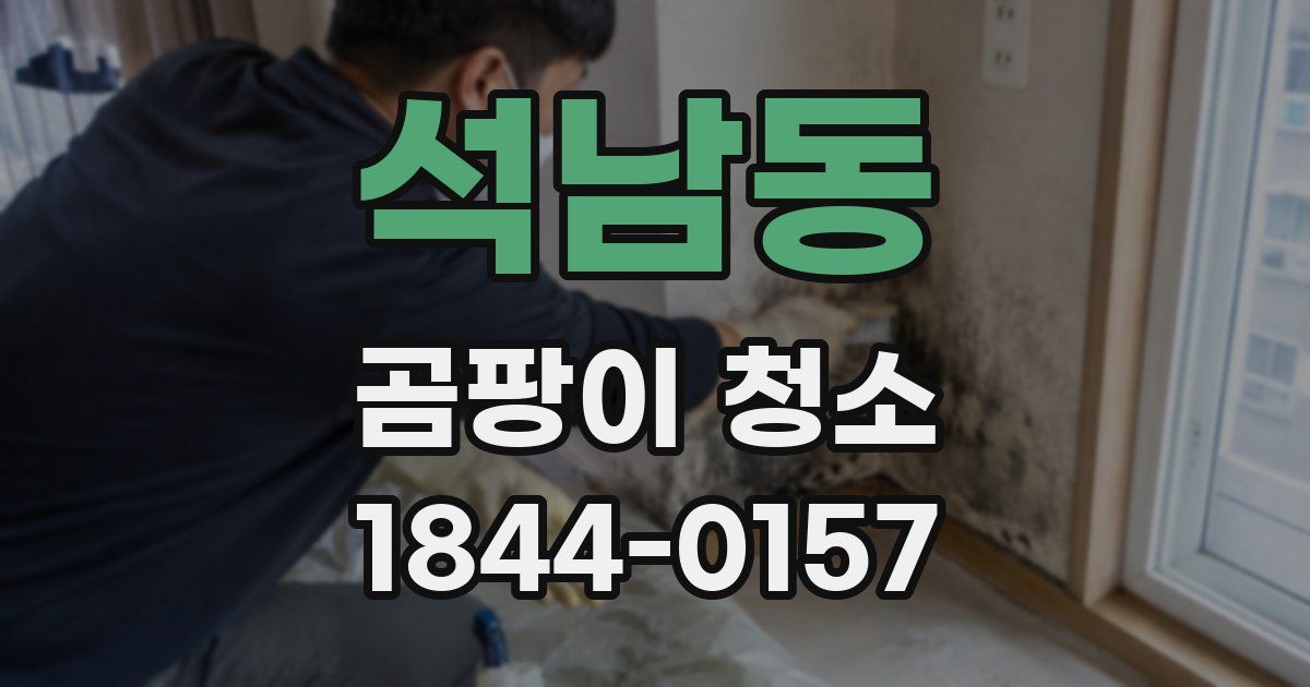 석남동 곰팡이 청소