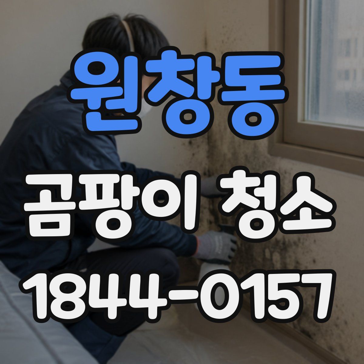 원창동 곰팡이 청소