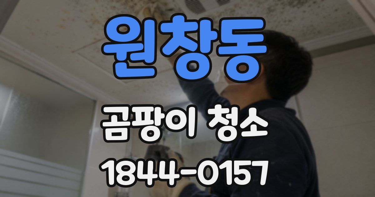 원창동 곰팡이 청소