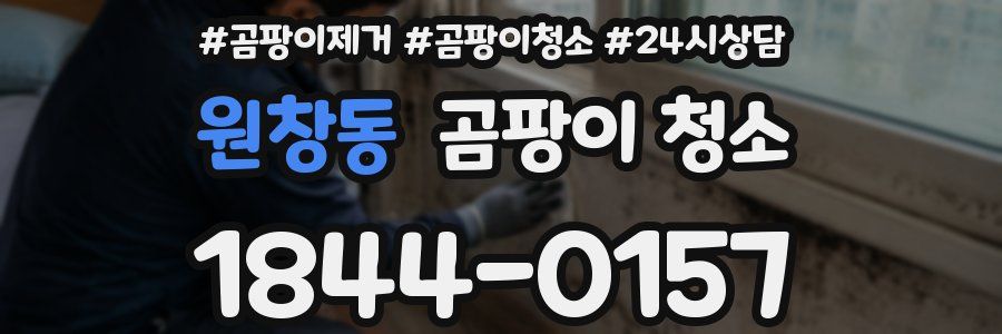 원창동 곰팡이 청소