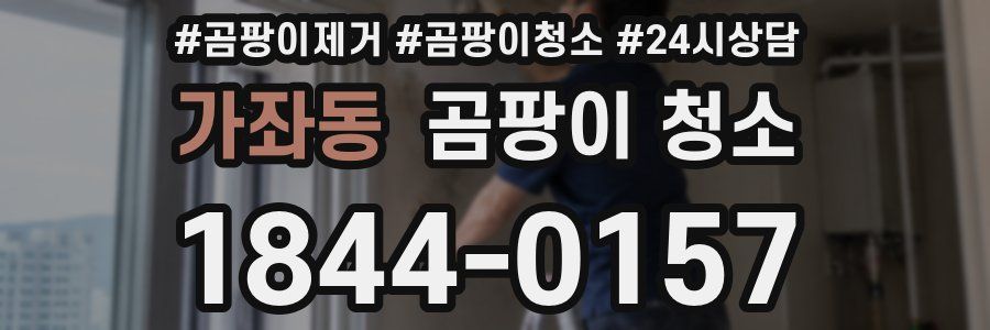 가좌동 곰팡이 청소