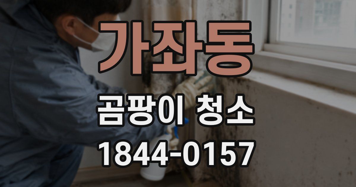 가좌동 곰팡이 청소