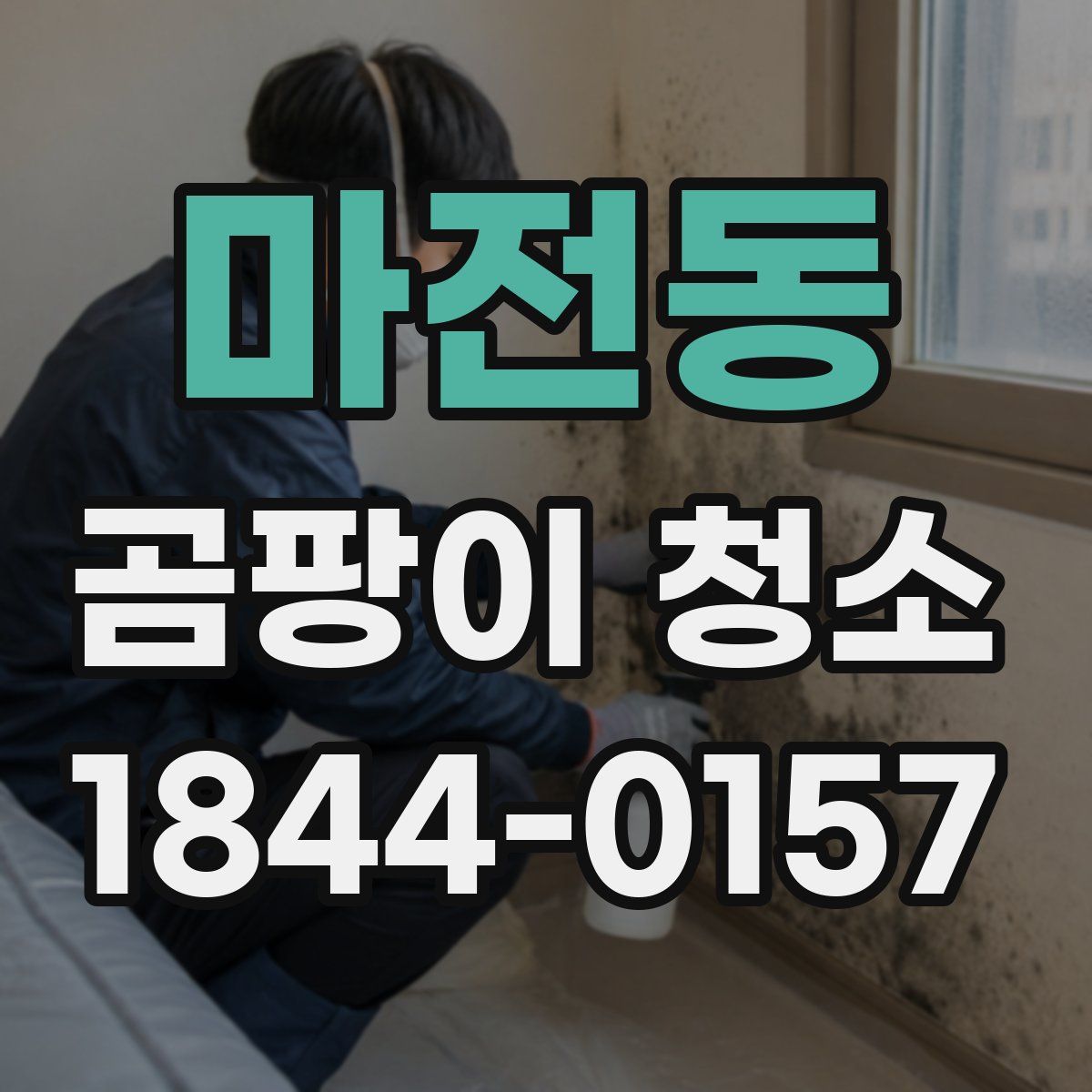 마전동 곰팡이 청소