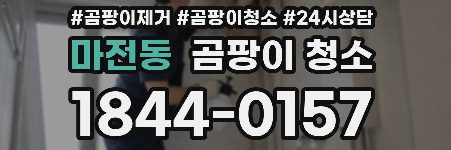 마전동 곰팡이 청소