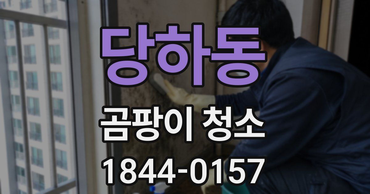 당하동 곰팡이 청소