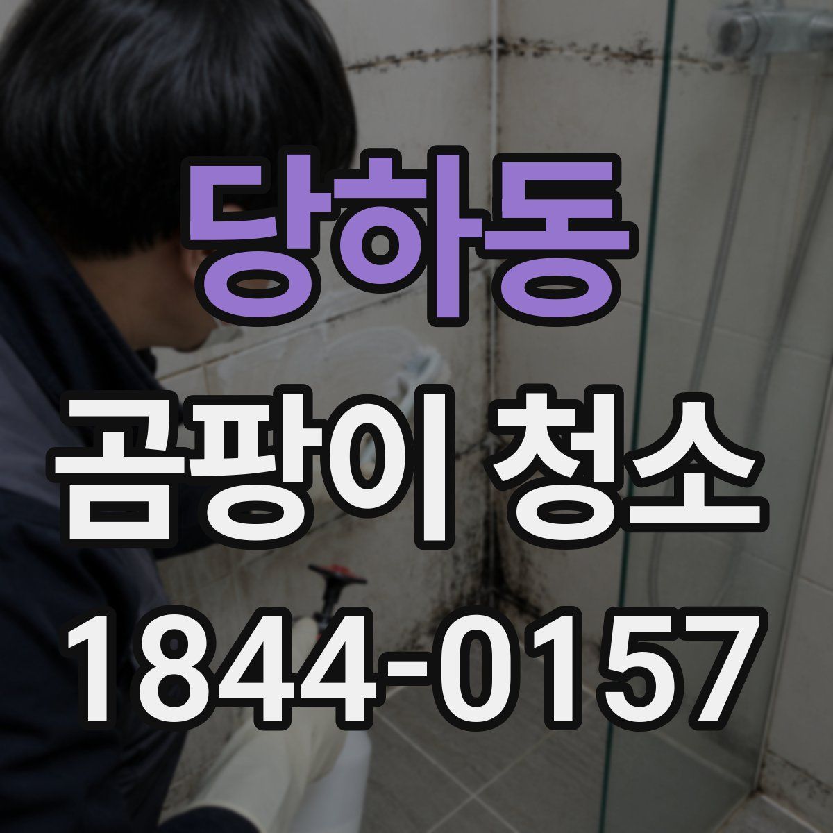 당하동 곰팡이 청소