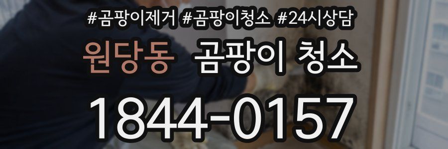원당동 곰팡이 청소