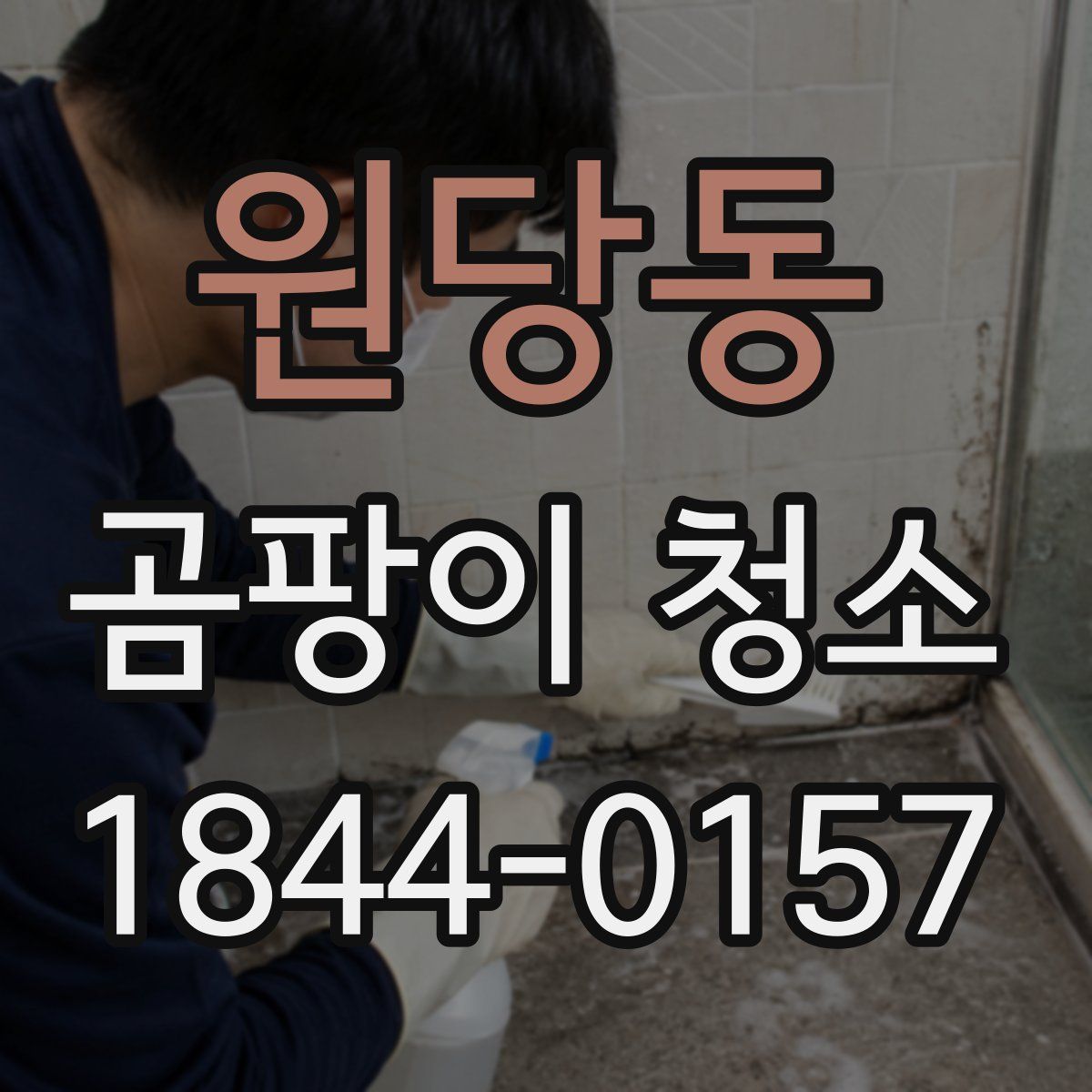 원당동 곰팡이 청소