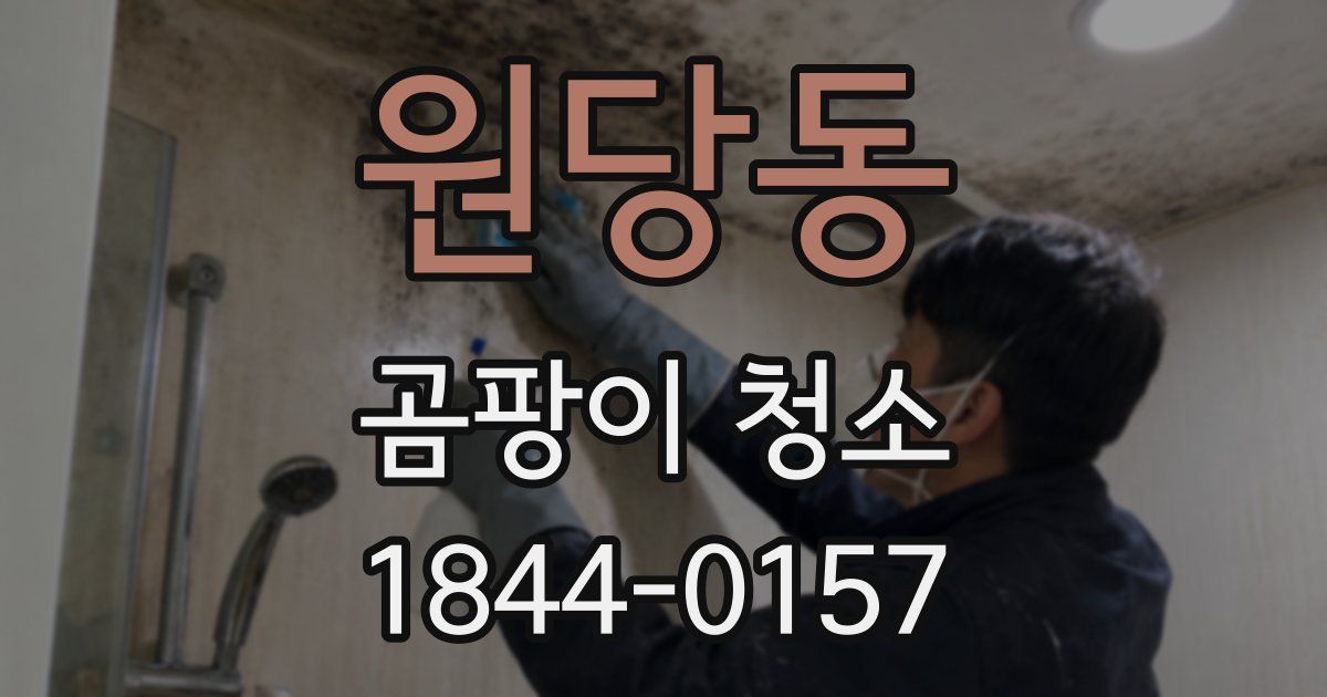 원당동 곰팡이 청소
