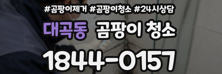 대곡동 곰팡이 청소