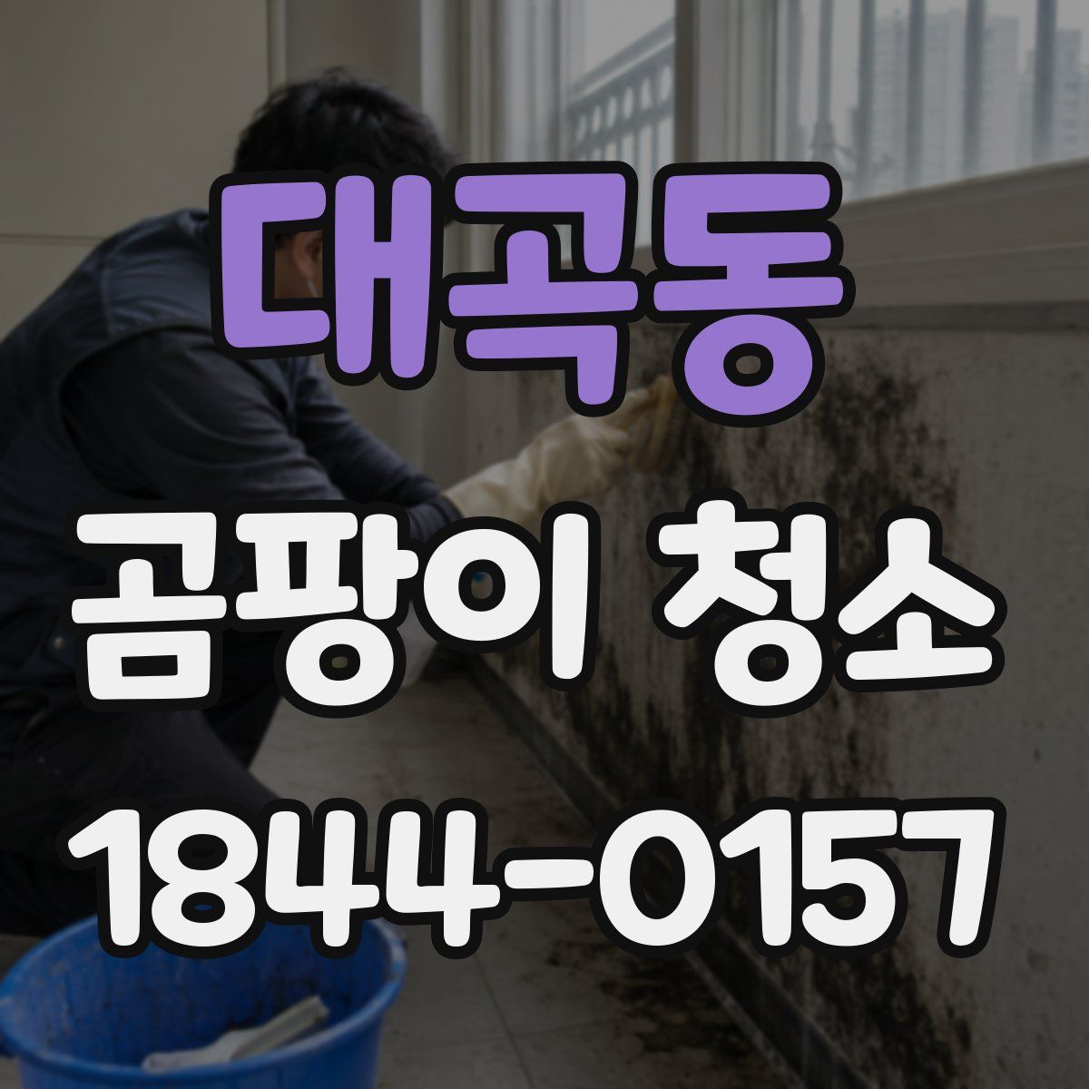 대곡동 곰팡이 청소