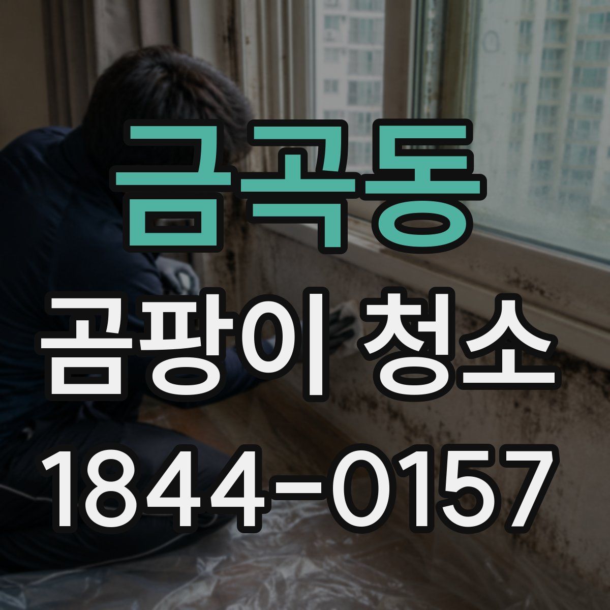 금곡동 곰팡이 청소