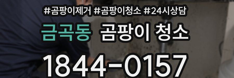 금곡동 곰팡이 청소