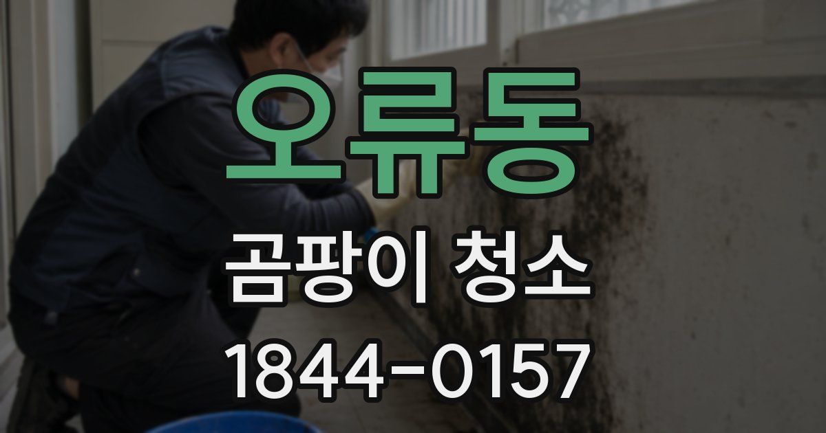 오류동 곰팡이 청소