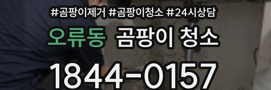 오류동 곰팡이 청소