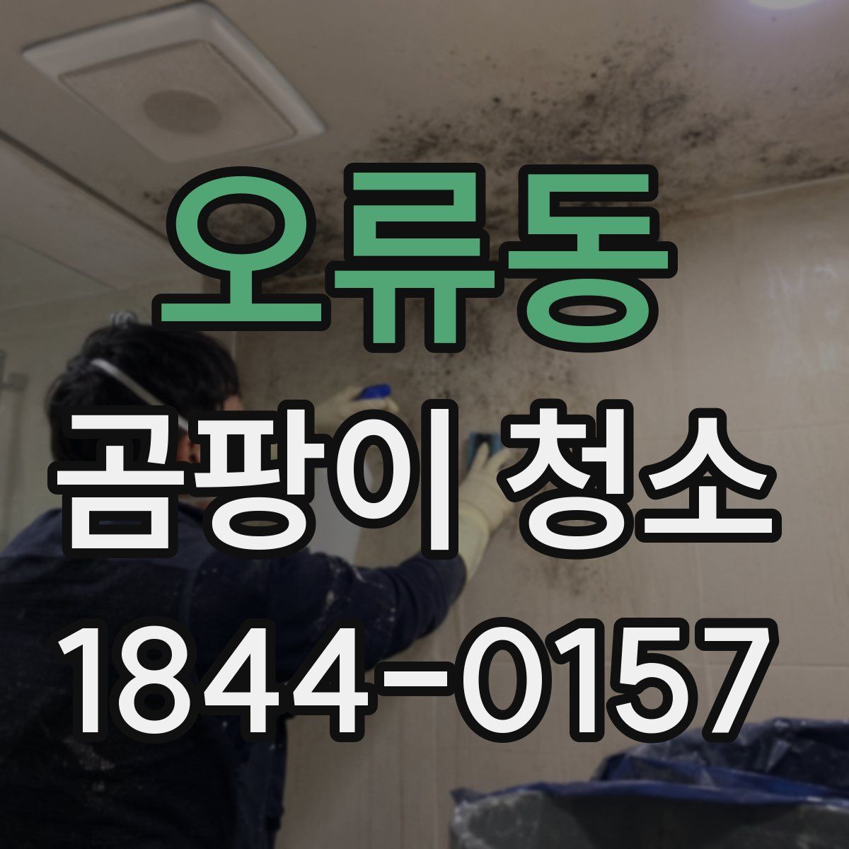 오류동 곰팡이 청소