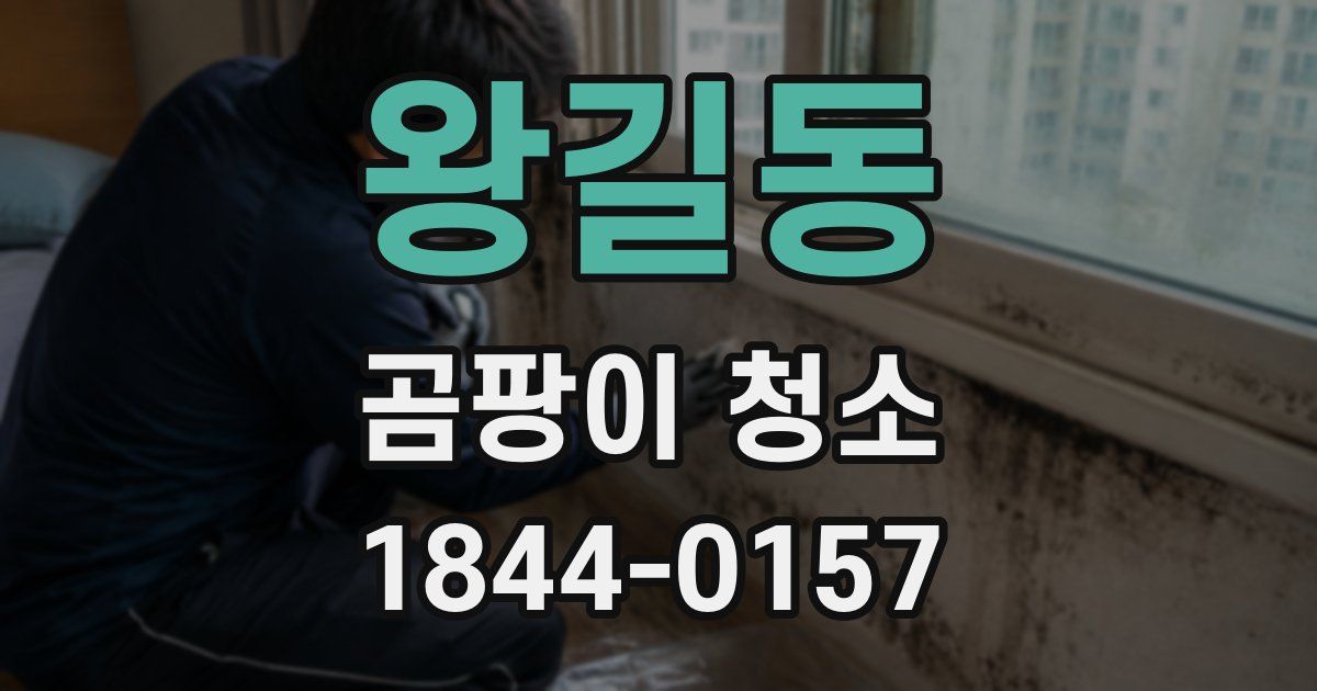 왕길동 곰팡이 청소