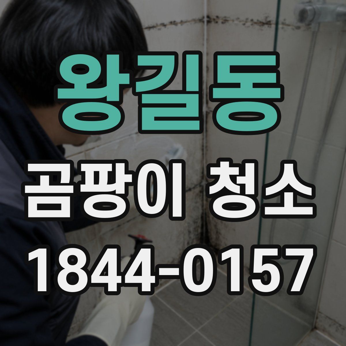 왕길동 곰팡이 청소