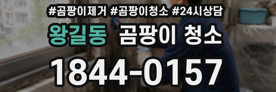 왕길동 곰팡이 청소