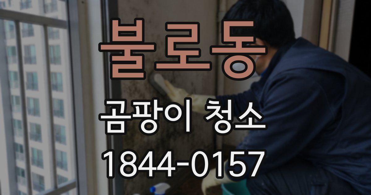 불로동 곰팡이 청소