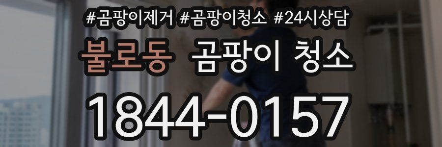 불로동 곰팡이 청소
