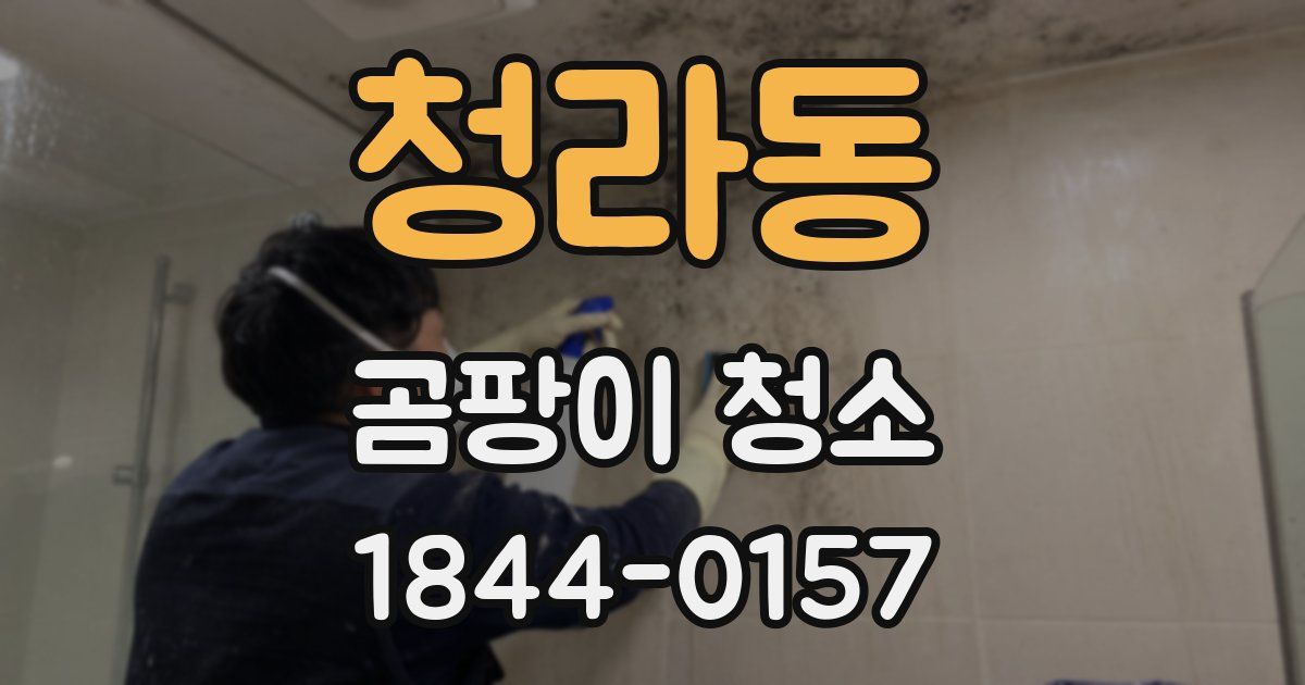 청라동 곰팡이 청소