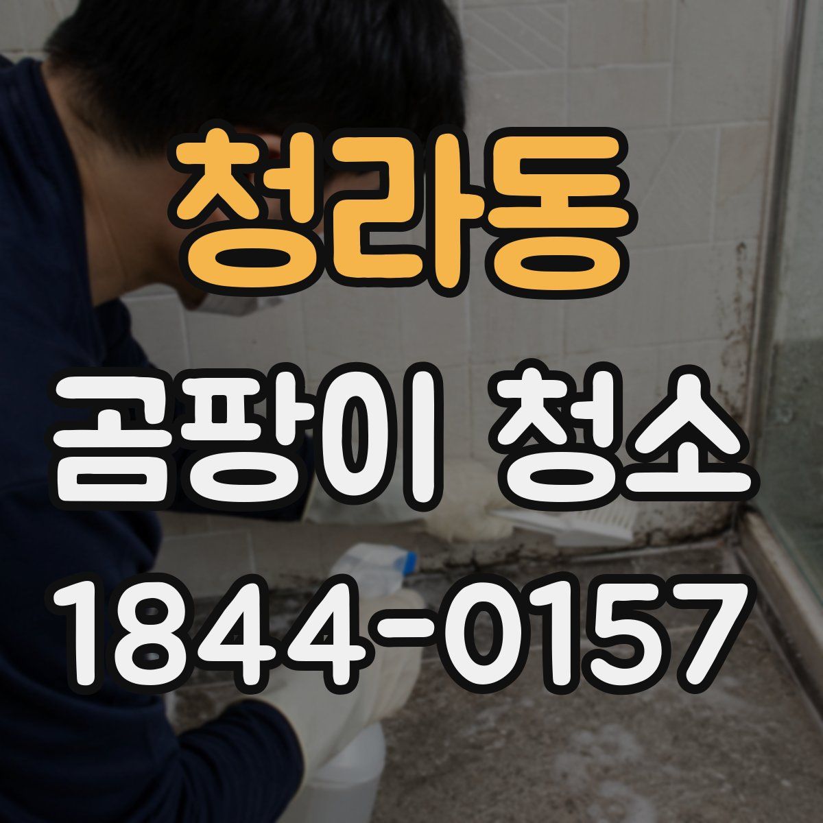 청라동 곰팡이 청소