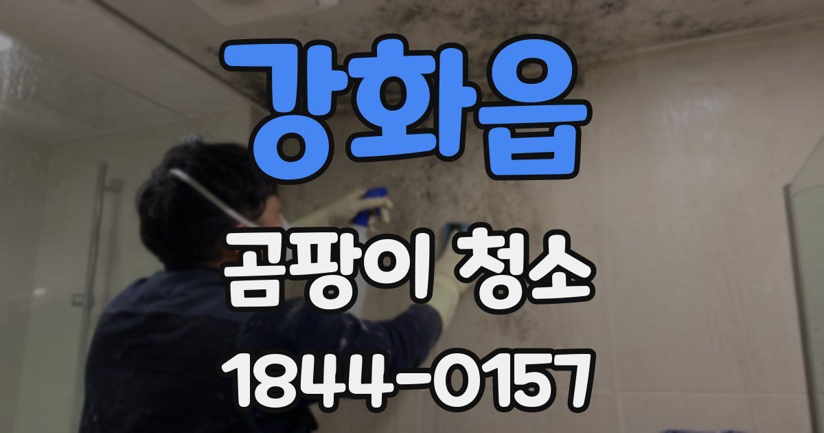 강화읍 곰팡이 청소