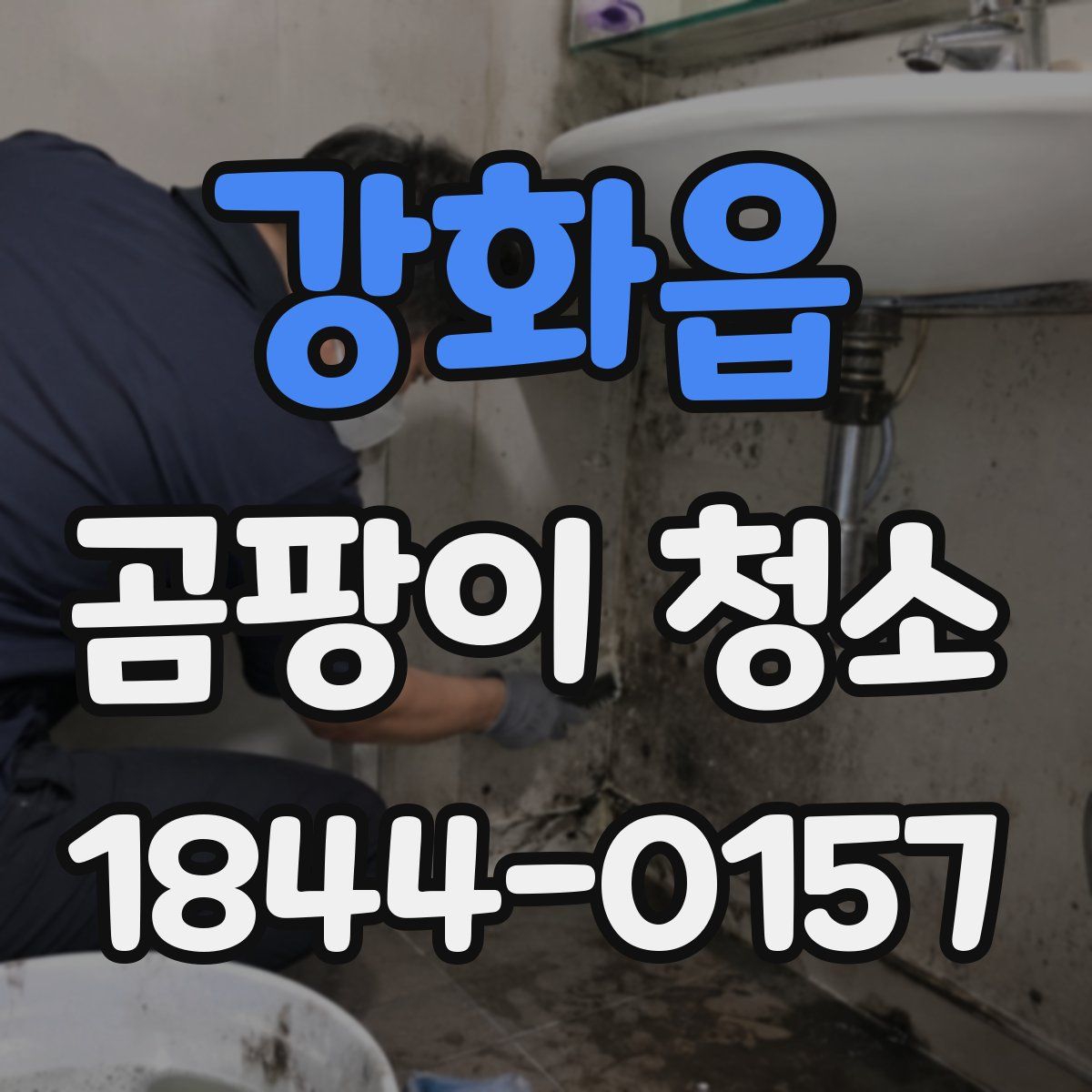 강화읍 곰팡이 청소