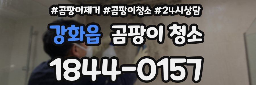 강화읍 곰팡이 청소