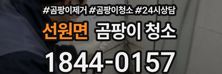 선원면 곰팡이 청소