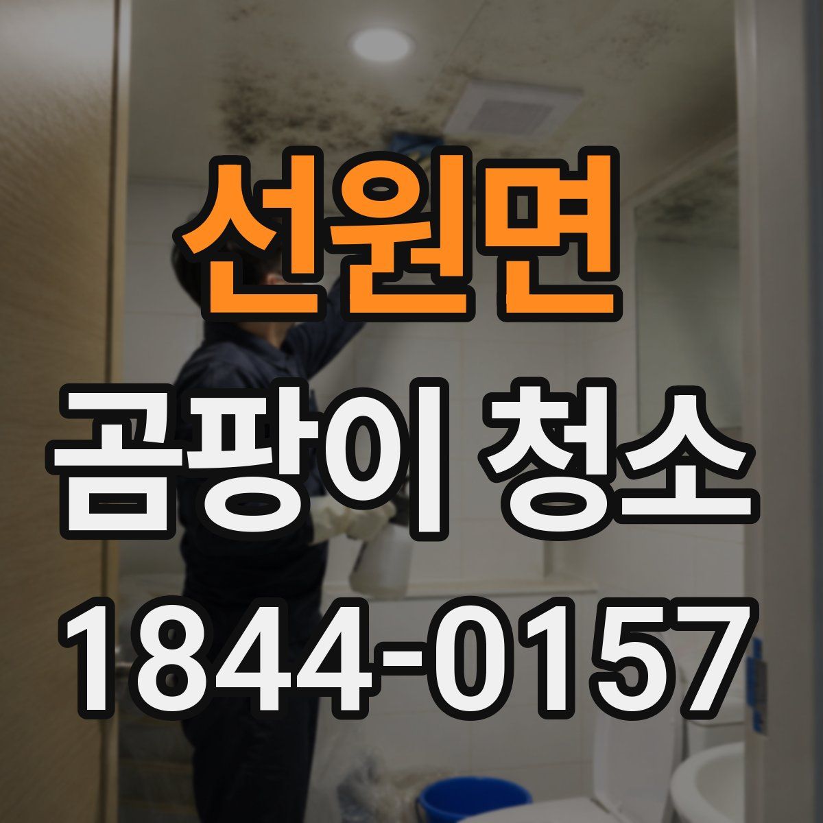 선원면 곰팡이 청소