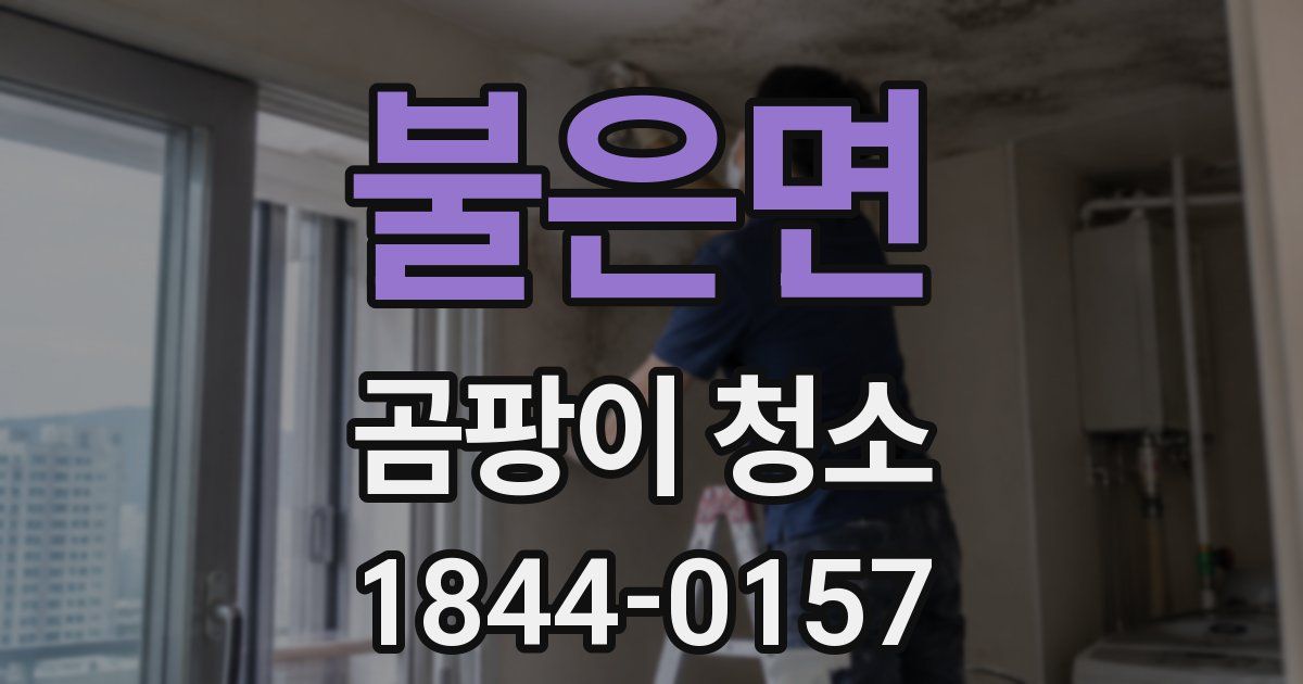 불은면 곰팡이 청소